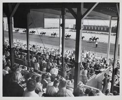 Grandstand spectators view parade of horses at the Sonoma County Fair Racetrack, Santa Rosa, California