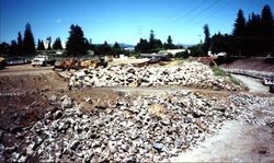 Looking east along north bank of Santa Rosa Creek