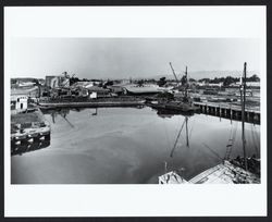 Barge loaded with bags of grain for the Golden Eagle Milling Company, Petaluma