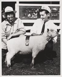 Jim McNern and His 4H Champion fat lamb at the Sonoma County Fair, Santa Rosa, California, 1957