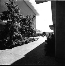 Exterior scenes at Coddingtown Shopping Center, Santa Rosa, California, May 26, 1971