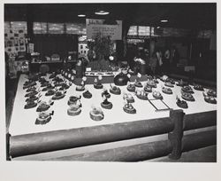 Sebastopol Farm exhibit at the Sonoma County Fair, Santa Rosa, California