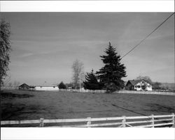 Homes on Petaluma Hill Road