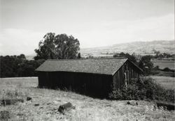 Chicken house at 196 Cinnabar Avenue, Petaluma, California, May 27, 1997