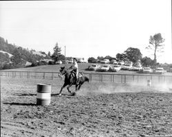 Rodeo at Palamino Lakes