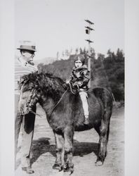 Young Thomas Herbert Ware straddles a pony watched by his father, Sonoma county, California, 1929