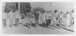 Unidentified group of Sebastopol school children