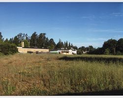 Field behind buildings at 961 Gravenstein Highway South, Sebastopol, Calif., June 19, 2009