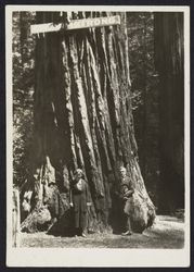 Charles and Joyce Drake, ministers, in Armstrong Woods, Guerneville, California, 1921