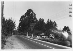 Dickey’s Place at Sousa’s Corner on Highway 12, north of Sebastopol, before 1946