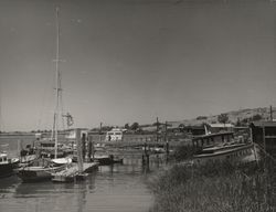 Scene of Petaluma River at Gilardi Resort, Petaluma, California, about 1970