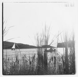 Sailboats on Lake Ilsanjo, Annadel State Park, Santa Rosa, California, 1971