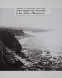 Beach at Salmon Creek after a storm Sonoma County Coast, California, 1960s