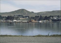 Dredger at Spud Point Marina