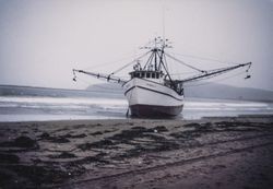 Debbie O beached at Doran Beach