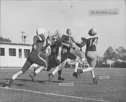 Leghorns lose to San Diego SubPac Raiders, Petaluma, California, Nov. 4, 1951