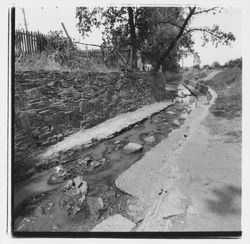 Paulin Creek at the south boundary of the County Administration, Santa Rosa, California, 1975