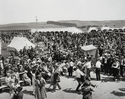 Western Sonoma Marin Dairy Cattle Show, Valley Ford, California, 1924