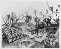 Gravenstein Apple Show, Sebastopol, 1910