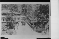 Man in horse and buggy crossing bridge