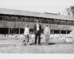 Scott family members on their chicken ranch, Petaluma, California, 1930s