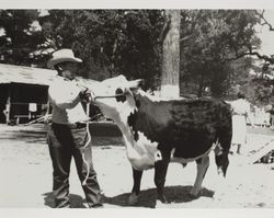 Bill King with his Hereford steer at the Sonoma County Fair, Santa Rosa, California