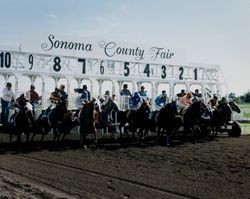 Horses leave the starting gate at the Sonoma County Fair Racetrack, Santa Rosa, California