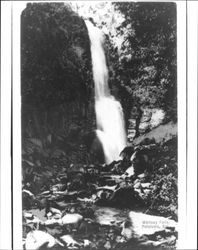 Whitney Falls, Sonoma Mountain, Calif