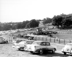 Rodeo at Palamino Lakes