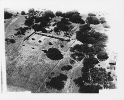 Aerial view of unidentified farm in Sonoma County, California, 1950s or 1960s