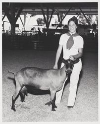 Shelly Bice shows her lamb at the Sonoma County Fair, Santa Rosa, California