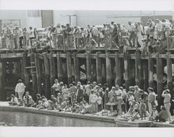 Spectators at the Old Adobe and Petaluma River Festival of 1986