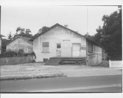 White Hatchery, Petaluma, California, 1986