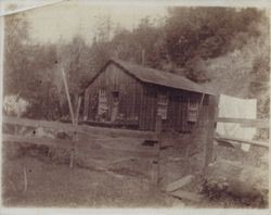 Titus family at their cabin in Markhams, California, 1904