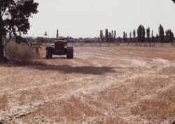 Tractor in a hayfield north of Rohnert Park, California, about 1967
