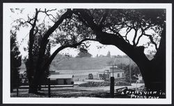 Pretty view in Penngrove, California, 1910?