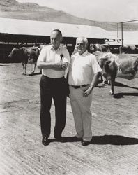 Stornetta Brothers at their dairy, winner of Dairy of the Year award, 3142 Carneros Highway, Sonoma, California, 1976