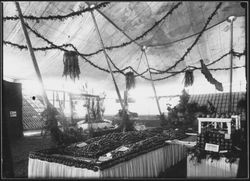 Apple Show Sebastopol 1914