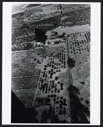 Marlow Road and vicinity from the air