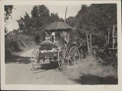 Schluckebier family with horse and buggy along the Russian River, Guerneville, California, about 1904