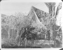 View of Hoag House through the shrubbery, Santa Rosa, California, 1970