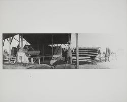 Drying sheds and ovens