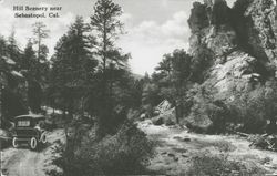 Hill scenery near Sebastopol, California