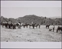 Redwood Rangers on the ride to Stewart Ranch, Mohrhardt Ridge Road, Cazadero, California, June 9, 1946