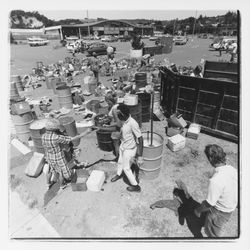 Glass sorting barrels and workers at the Recycling Center, Santa Rosa, California, 1971