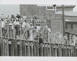 Spectators at the Old Adobe and Petaluma River Festival of 1986