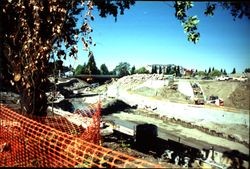 North bank of Santa Rosa Creek looking northwest toward Marriott Hotel from Olive Park