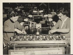 Employees at work at Sunset Line and Twine Company