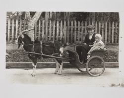 Melvin Barnes and Joy Cox in a goat cart, about 1919