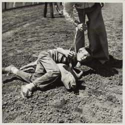 Pig scramble on Farmers' Day at the Sonoma County Fair, Santa Rosa, California